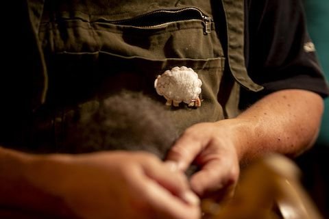 Wool spinner (2024)