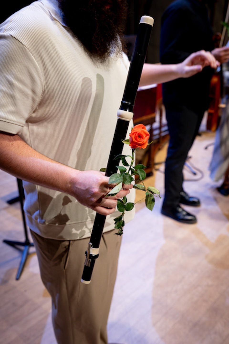Historical instrument with rose Anacronia (2024)